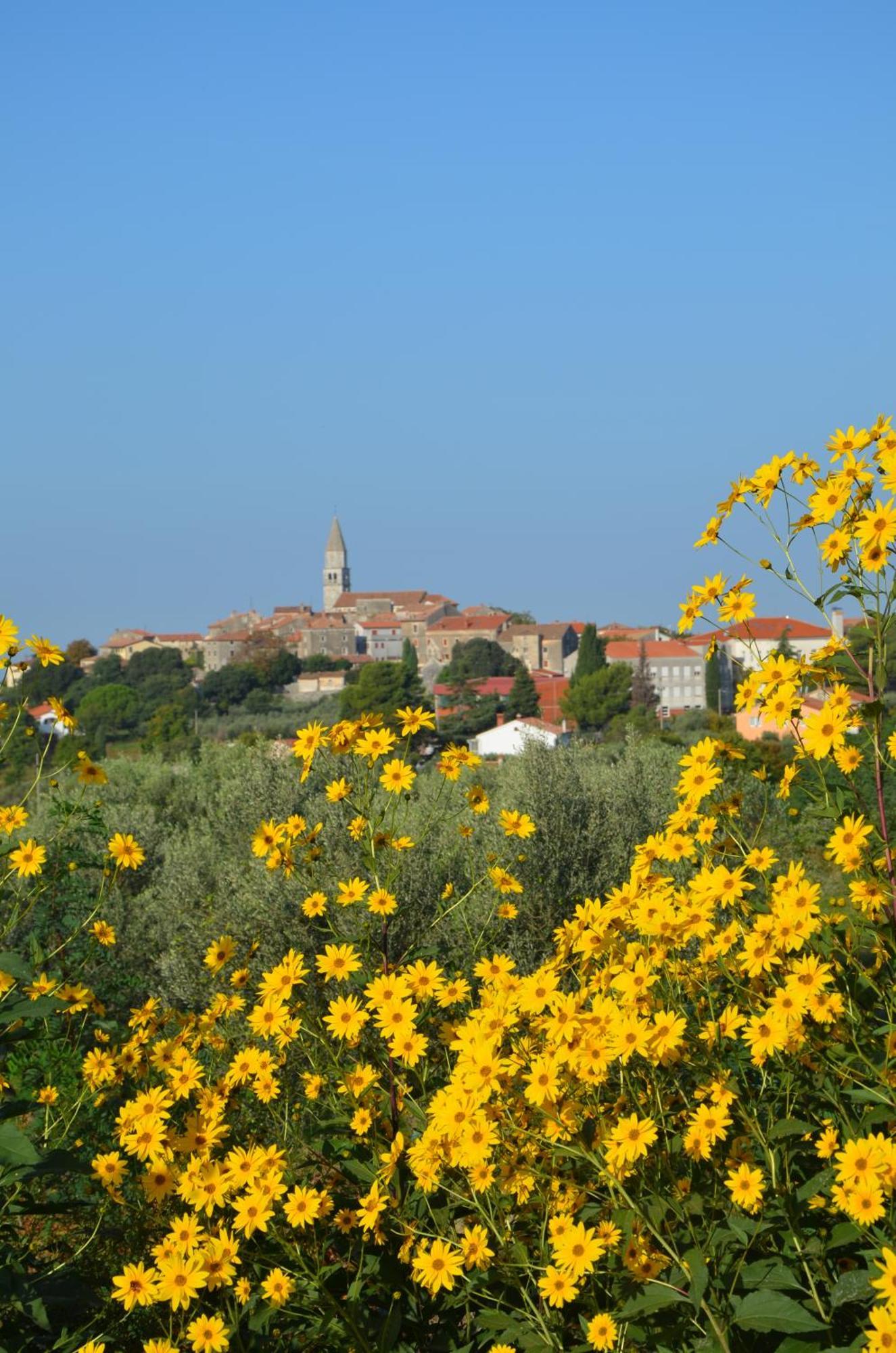 Barat  Villa Olivetta By Istrian Country Houses מראה חיצוני תמונה