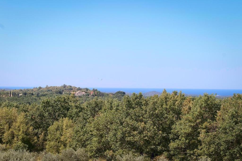 Barat  Villa Olivetta By Istrian Country Houses מראה חיצוני תמונה